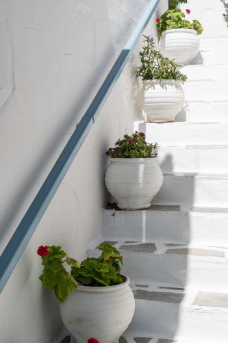DETAIL-VIEW-04